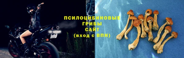 тгк Богданович