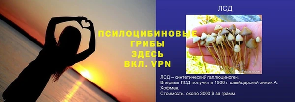 тгк Богданович
