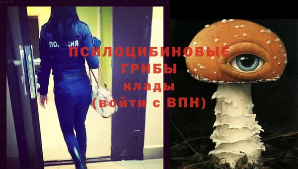 трава Богородицк