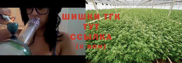 спиды Богородск